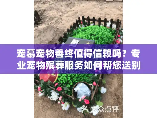 宠慕宠物善终值得信赖吗？专业宠物殡葬服务如何帮您送别挚爱伴侣