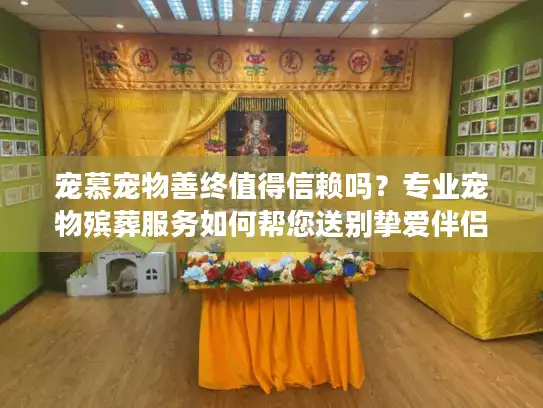 宠慕宠物善终值得信赖吗？专业宠物殡葬服务如何帮您送别挚爱伴侣