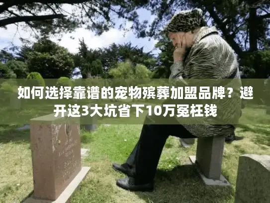 如何选择靠谱的宠物殡葬加盟品牌？避开这3大坑省下10万冤枉钱