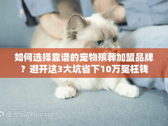 如何选择靠谱的宠物殡葬加盟品牌？避开这3大坑省下10万冤枉钱