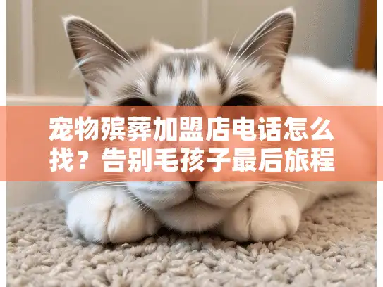 宠物殡葬加盟店电话怎么找？告别毛孩子最后旅程的迷茫