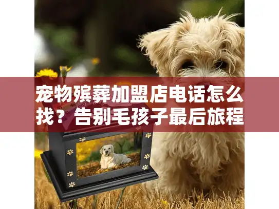 宠物殡葬加盟店电话怎么找？告别毛孩子最后旅程的迷茫