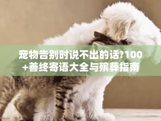 宠物告别时说不出的话?100+善终寄语大全与殡葬指南