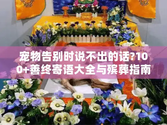 宠物告别时说不出的话?100+善终寄语大全与殡葬指南