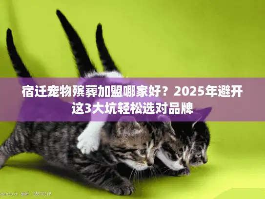 宿迁宠物殡葬加盟哪家好？2025年避开这3大坑轻松选对品牌