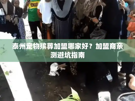 泰州宠物殡葬加盟哪家好？加盟商亲测避坑指南
