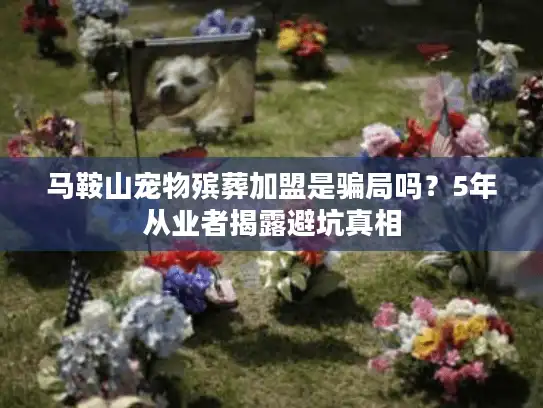 马鞍山宠物殡葬加盟是骗局吗？5年从业者揭露避坑真相