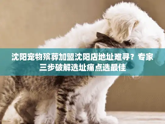 沈阳宠物殡葬加盟沈阳店地址难寻？专家三步破解选址痛点选最佳