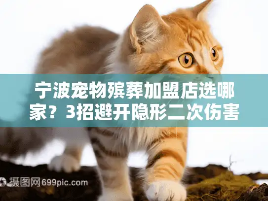 宁波宠物殡葬加盟店选哪家？3招避开隐形二次伤害