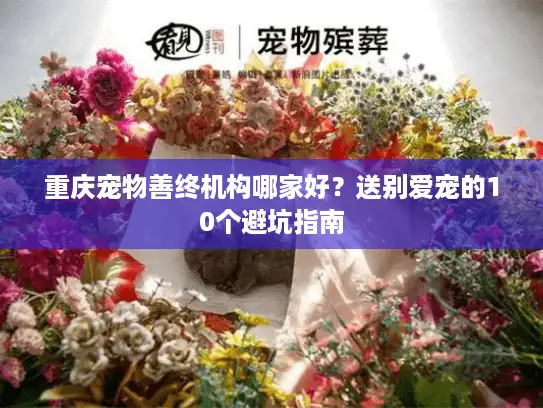 重庆宠物善终机构哪家好？送别爱宠的10个避坑指南