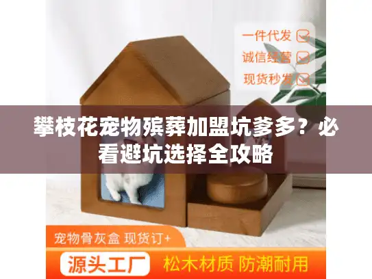 攀枝花宠物殡葬加盟坑爹多？必看避坑选择全攻略