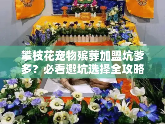 攀枝花宠物殡葬加盟坑爹多？必看避坑选择全攻略