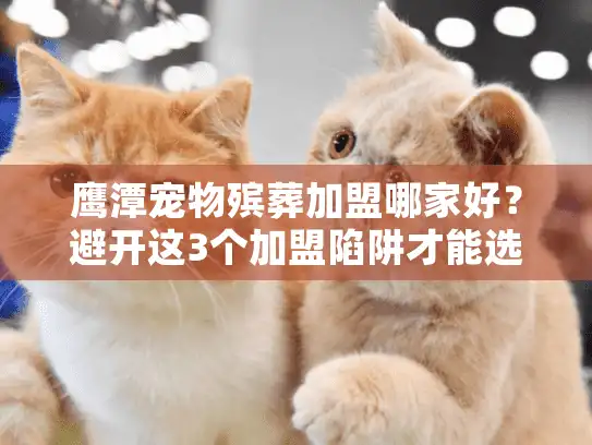 鹰潭宠物殡葬加盟哪家好？避开这3个加盟陷阱才能选对品牌（2025版）