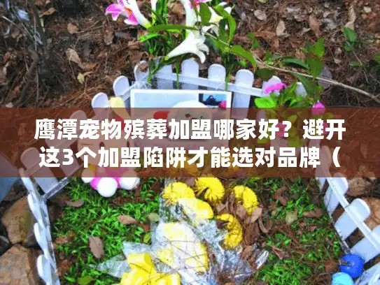 鹰潭宠物殡葬加盟哪家好？避开这3个加盟陷阱才能选对品牌（2025版）