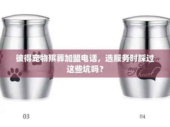 彼得宠物殡葬加盟电话，选服务时踩过这些坑吗？