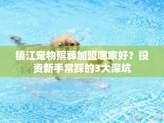 镇江宠物殡葬加盟哪家好？投资新手常踩的3大深坑