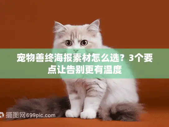宠物善终海报素材怎么选？3个要点让告别更有温度