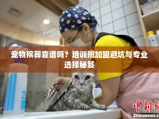 宠物殡葬靠谱吗？培训班加盟避坑与专业选择秘笈