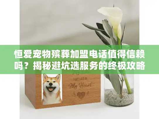 恒爱宠物殡葬加盟电话值得信赖吗？揭秘避坑选服务的终极攻略