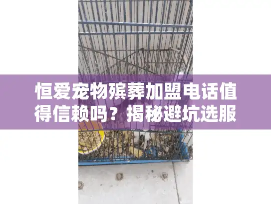 恒爱宠物殡葬加盟电话值得信赖吗？揭秘避坑选服务的终极攻略