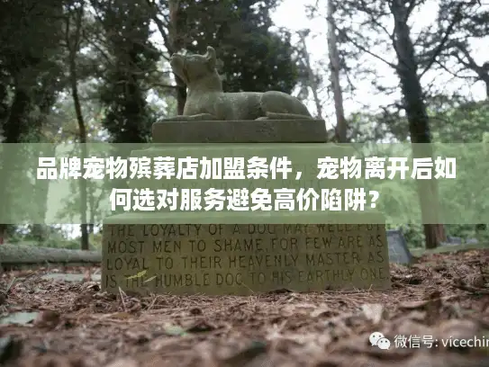 品牌宠物殡葬店加盟条件，宠物离开后如何选对服务避免高价陷阱？
