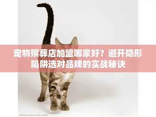 宠物殡葬店加盟哪家好？避开隐形陷阱选对品牌的实战秘诀