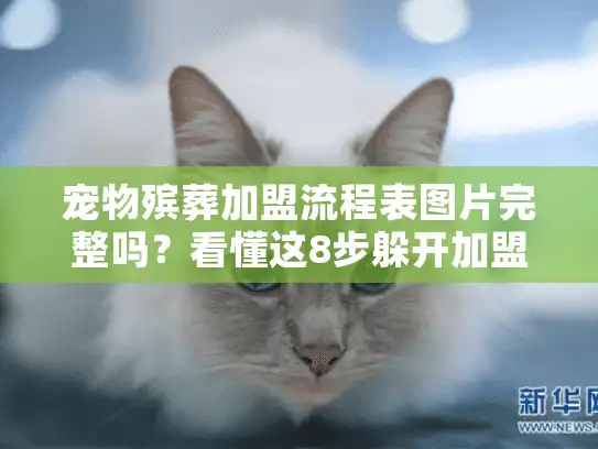 宠物殡葬加盟流程表图片完整吗？看懂这8步躲开加盟陷阱