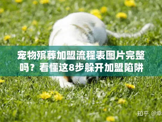 宠物殡葬加盟流程表图片完整吗？看懂这8步躲开加盟陷阱