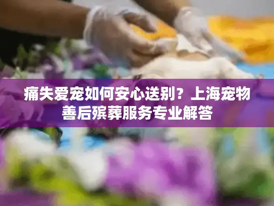 痛失爱宠如何安心送别？上海宠物善后殡葬服务专业解答