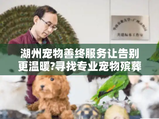湖州宠物善终服务让告别更温暖?寻找专业宠物殡葬指南