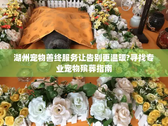 湖州宠物善终服务让告别更温暖?寻找专业宠物殡葬指南