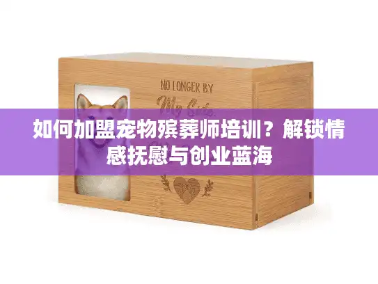 如何加盟宠物殡葬师培训？解锁情感抚慰与创业蓝海