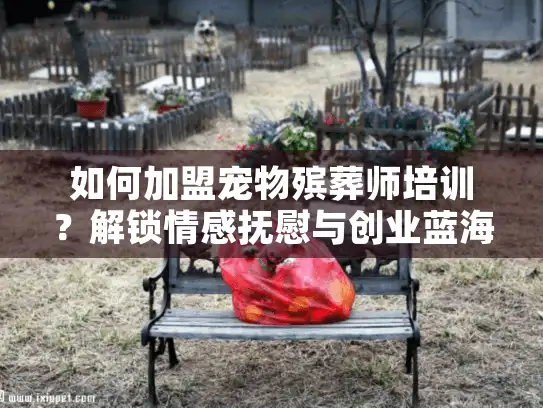 如何加盟宠物殡葬师培训？解锁情感抚慰与创业蓝海