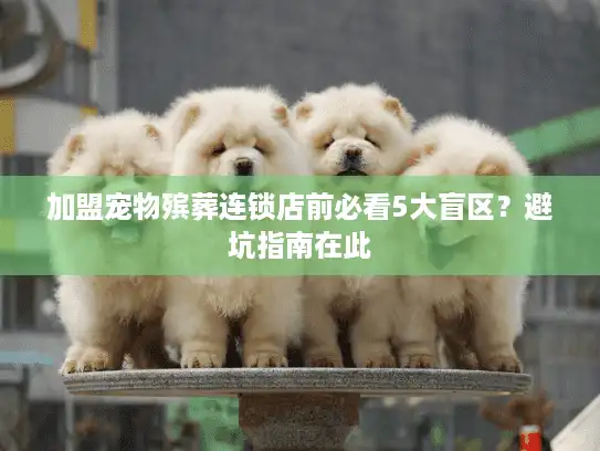 加盟宠物殡葬连锁店前必看5大盲区？避坑指南在此