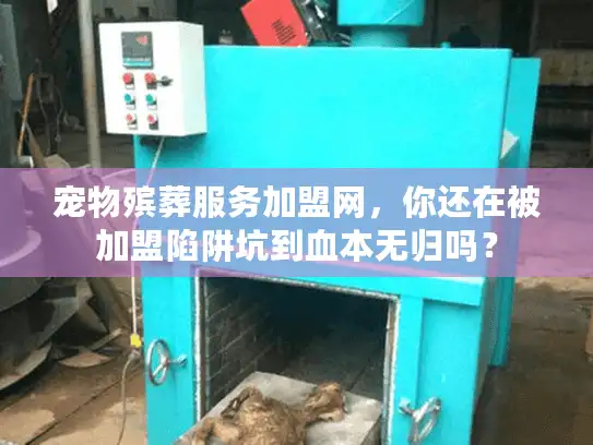 宠物殡葬服务加盟网，你还在被加盟陷阱坑到血本无归吗？
