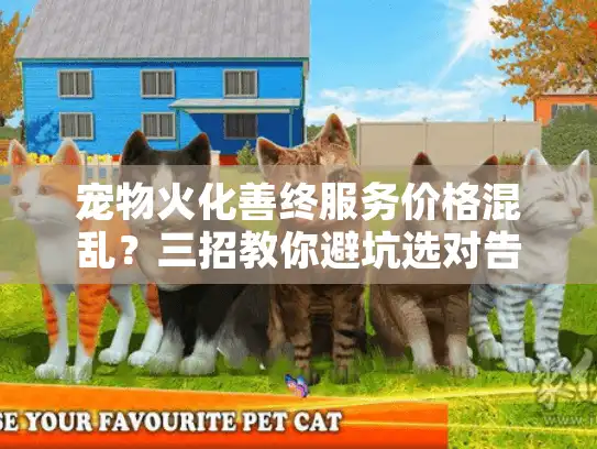宠物火化善终服务价格混乱？三招教你避坑选对告别方式
