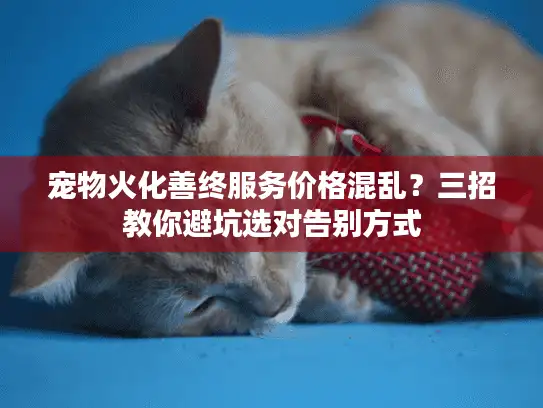 宠物火化善终服务价格混乱？三招教你避坑选对告别方式