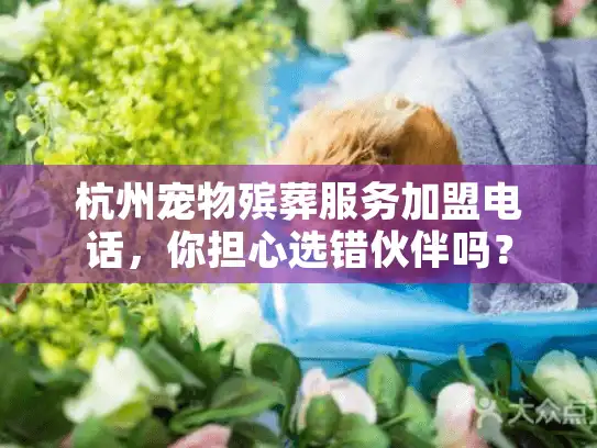 杭州宠物殡葬服务加盟电话，你担心选错伙伴吗？