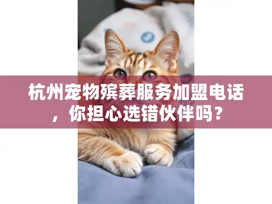 杭州宠物殡葬服务加盟电话，你担心选错伙伴吗？