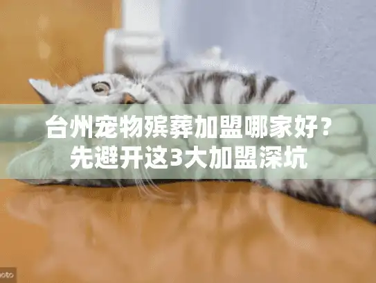台州宠物殡葬加盟哪家好？先避开这3大加盟深坑