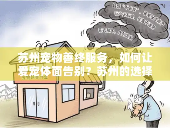 苏州宠物善终服务，如何让爱宠体面告别？苏州的选择指南