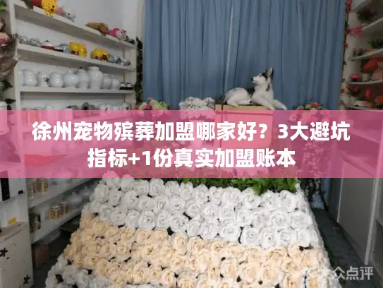 徐州宠物殡葬加盟哪家好？3大避坑指标+1份真实加盟账本