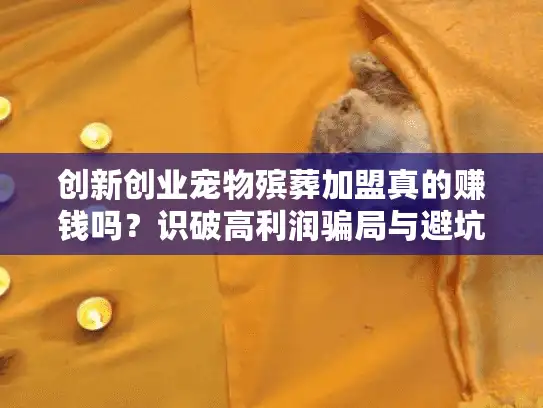 创新创业宠物殡葬加盟真的赚钱吗？识破高利润骗局与避坑指南