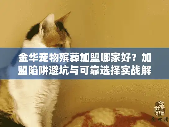 金华宠物殡葬加盟哪家好？加盟陷阱避坑与可靠选择实战解析