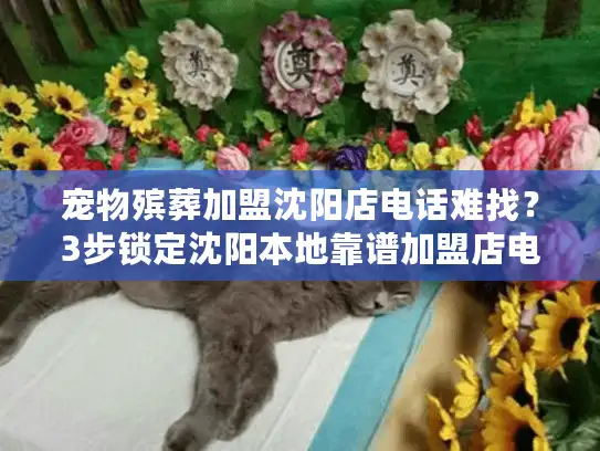 宠物殡葬加盟沈阳店电话难找？3步锁定沈阳本地靠谱加盟店电话！