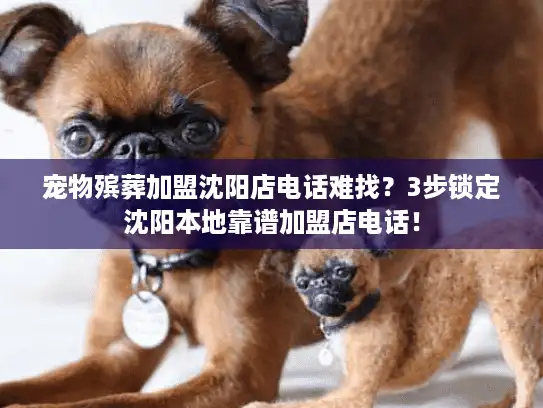 宠物殡葬加盟沈阳店电话难找？3步锁定沈阳本地靠谱加盟店电话！