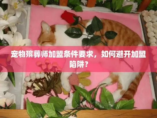 宠物殡葬师加盟条件要求，如何避开加盟陷阱？