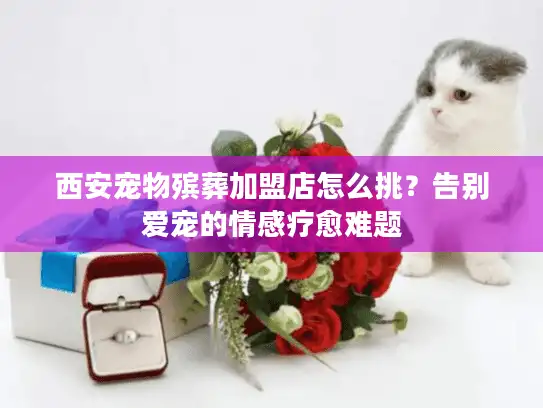 西安宠物殡葬加盟店怎么挑？告别爱宠的情感疗愈难题
