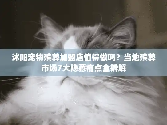 沭阳宠物殡葬加盟店值得做吗？当地殡葬市场7大隐藏痛点全拆解