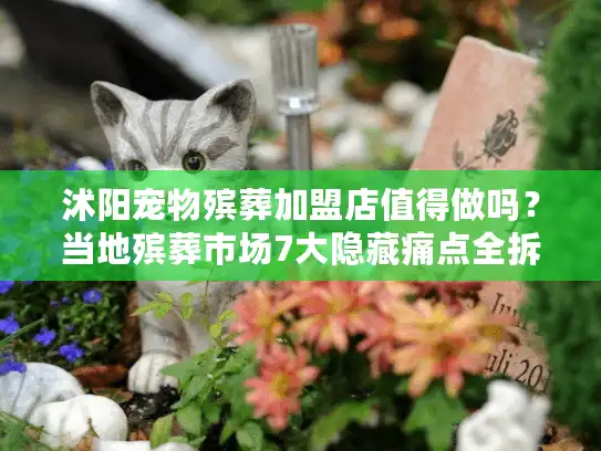 沭阳宠物殡葬加盟店值得做吗？当地殡葬市场7大隐藏痛点全拆解